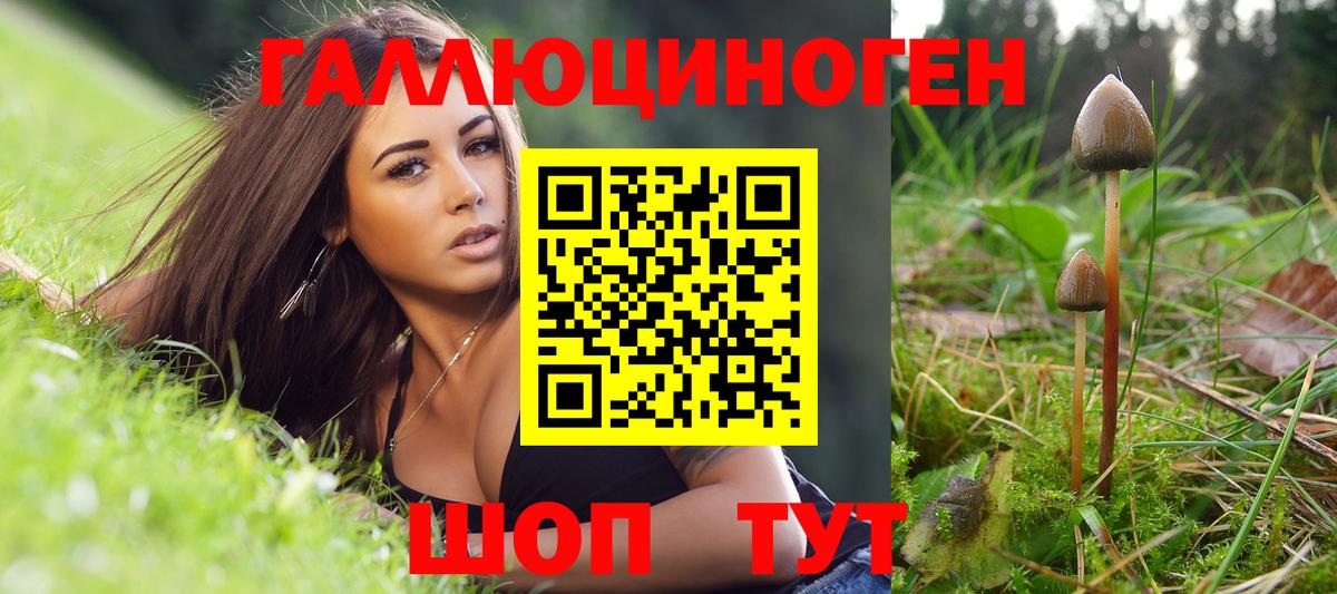 Галлюциногенные грибы Psilocybe  Вход с VPN  Петрозаводск 