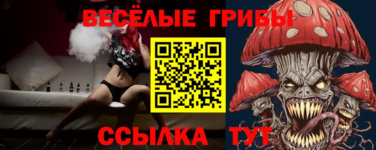Псилоцибиновые грибы Psilocybe Петрозаводск